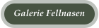 Galerie Fellnasen